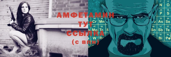 хмурый Белокуриха