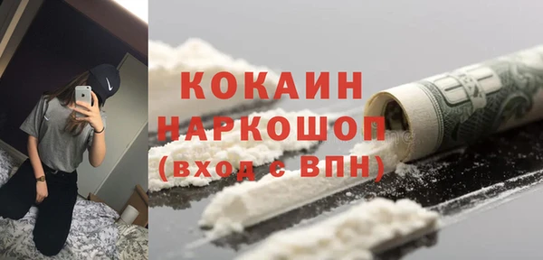 хмурый Белокуриха
