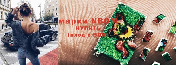 хмурый Белокуриха