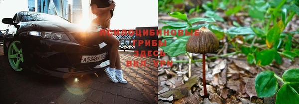 мдпв Белоозёрский