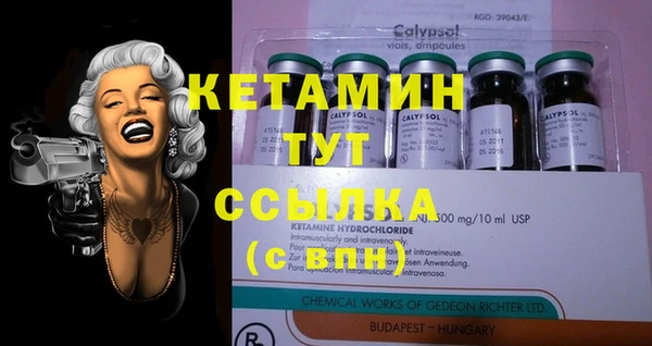 хмурый Белокуриха