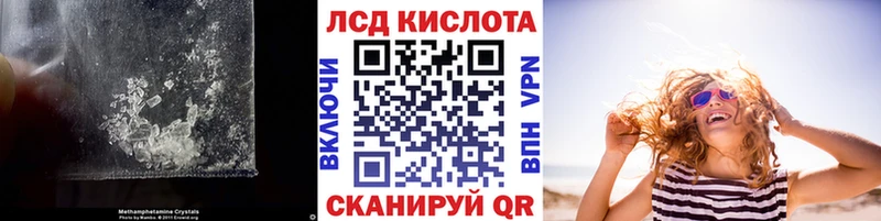 продажа наркотиков  Выборг  ЛСД экстази ecstasy 